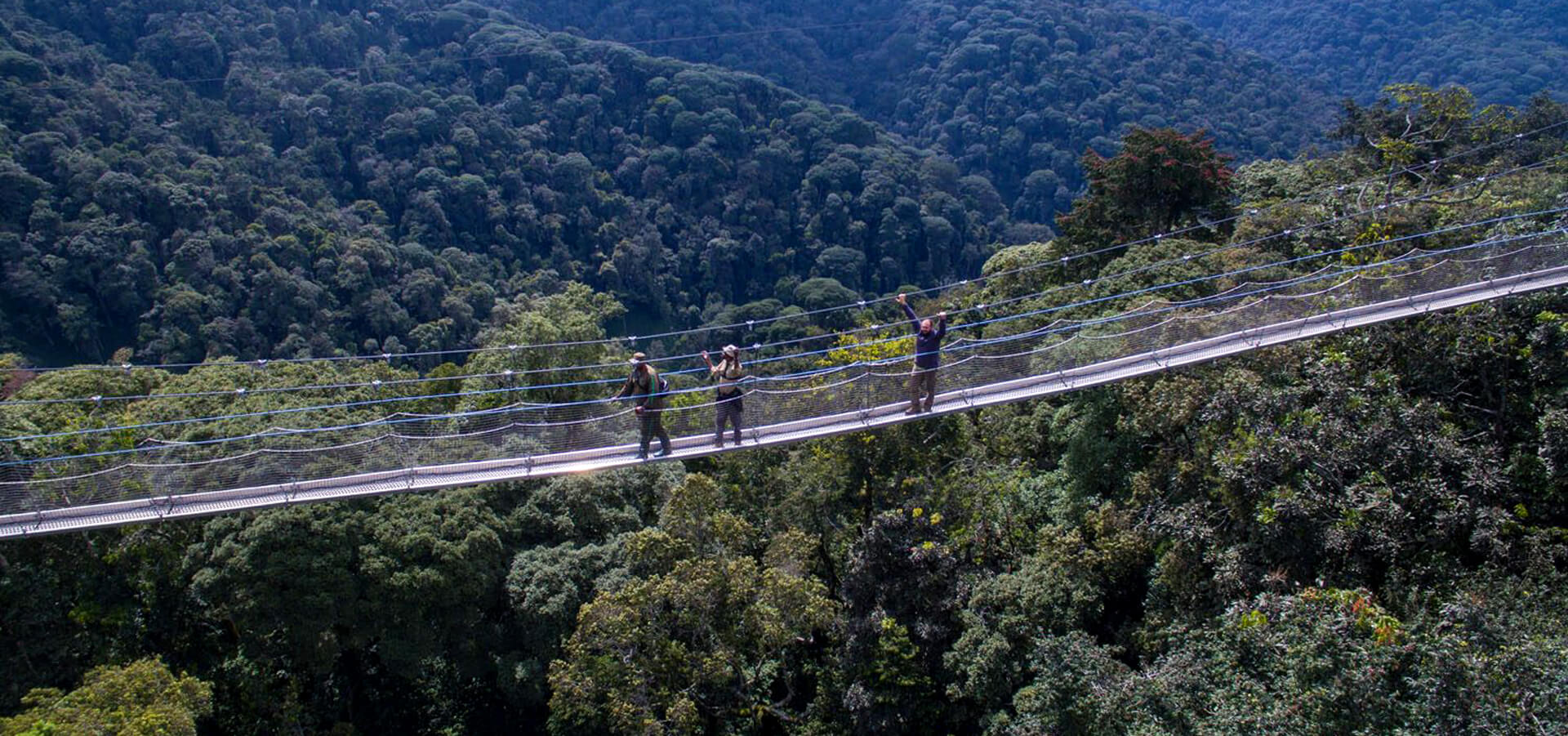 Nyungwe Forest National Park