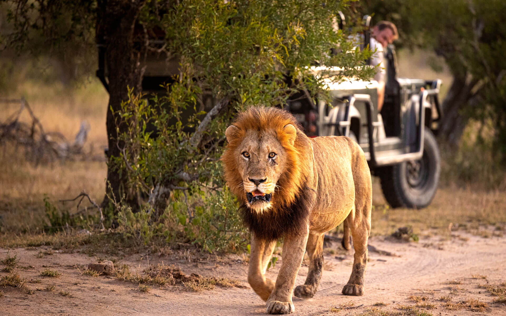 7 Days Wildlife & Culture